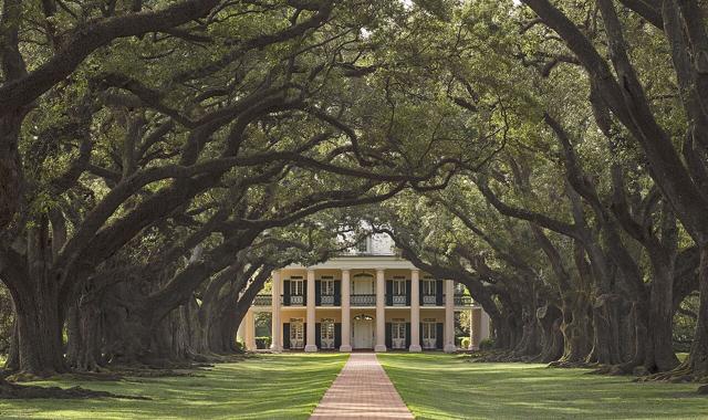 Oak Alley Plantation